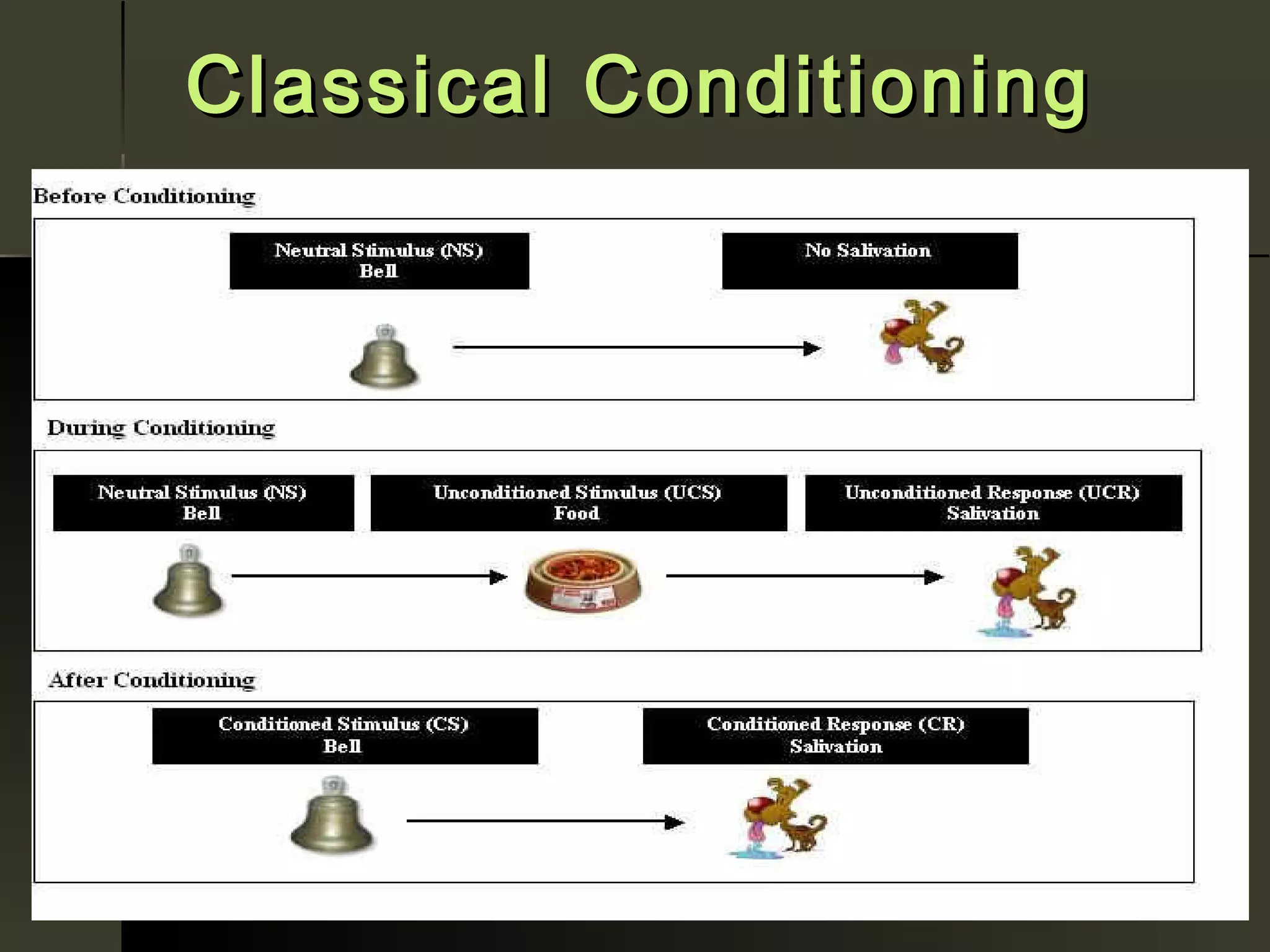 Classical Conditioning
 