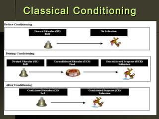 Classical Conditioning
 