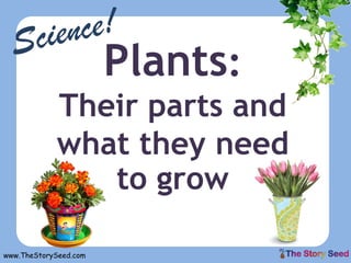 Plants:
Their parts and
what they need
to grow
www.TheStorySeed.com
 