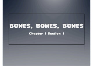 BONES, BONES, BONES
Chapter 1 Section 1
 