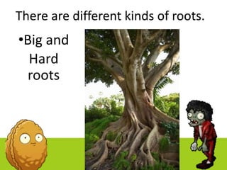 Part of the Plants | PPTX