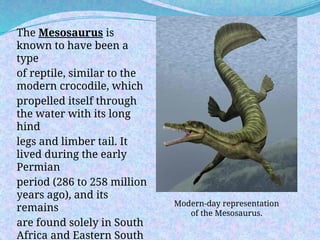 The Mesosaurus is
known to have been a
type
of reptile, similar to the
modern crocodile, which
propelled itself through
the water with its long
hind
legs and limber tail. It
lived during the early
Permian
period (286 to 258 million
years ago), and its
remains
are found solely in South
Africa and Eastern South
Modern-day representation
of the Mesosaurus.
 