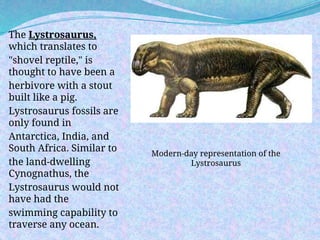 The Lystrosaurus,
which translates to
"shovel reptile," is
thought to have been a
herbivore with a stout
built like a pig.
Lystrosaurus fossils are
only found in
Antarctica, India, and
South Africa. Similar to
the land-dwelling
Cynognathus, the
Lystrosaurus would not
have had the
swimming capability to
traverse any ocean.
Modern-day representation of the
Lystrosaurus
 