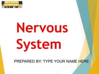 science 10 Q3 lesson nervous system melc-based | PDF