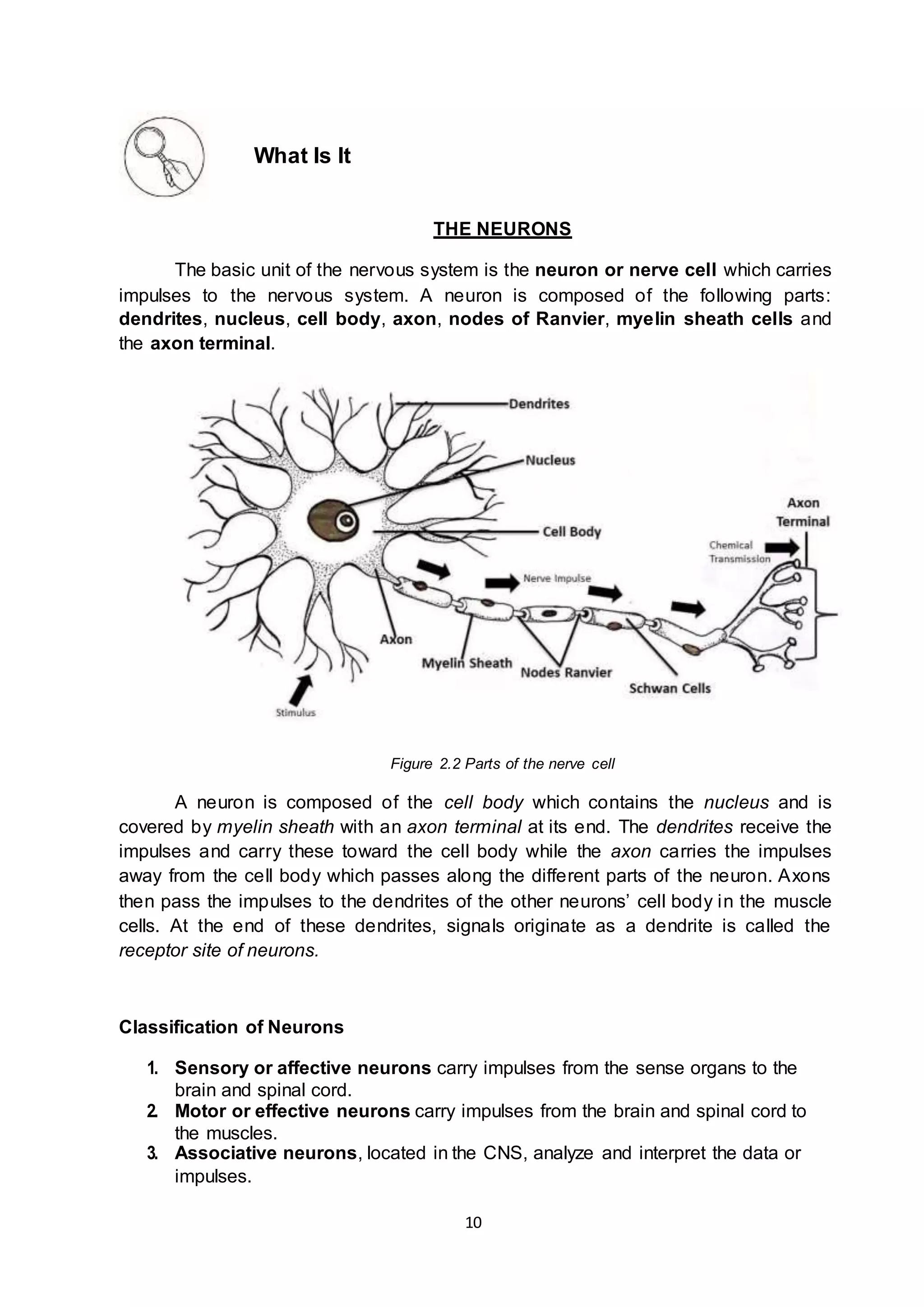 Science10 q3 ver4_mod3-converted (1) | DOCX