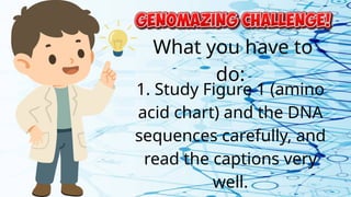 What you have to
do:
1. Study Figure 1 (amino
acid chart) and the DNA
sequences carefully, and
read the captions very
well.
 