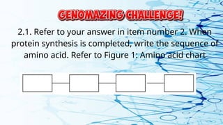 2.1. Refer to your answer in item number 2. When
protein synthesis is completed, write the sequence of
amino acid. Refer to Figure 1: Amino acid chart
 