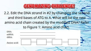 2.2. Edit the DNA strand in #2 by changing the second
and third bases of ATG to A. What will be the new
amino acid chain created by the modified DNA? Refer
to Figure 1: Amino acid chart.
 