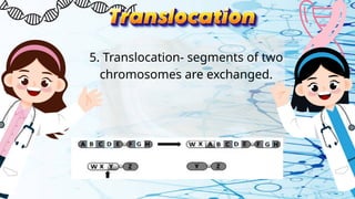 5. Translocation- segments of two
chromosomes are exchanged.
 