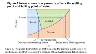 Figure 1 below shows how pressure affects the melting
point and boiling point of water.
Figure 1. This phase diagram tells...