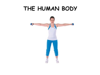 THE HUMAN BODY 
 