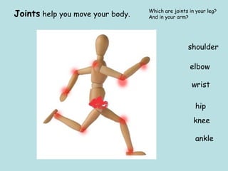 Joints help you move your body. Which are joints in your leg? 
And in your arm? 
shoulder 
elbow 
wrist 
hip 
knee 
ankle 
 