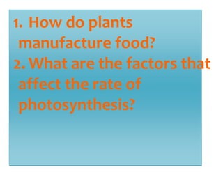 1. How do plants 
manufacture food? 
2. What are the factors that 
affect the rate of 
photosynthesis? 
 