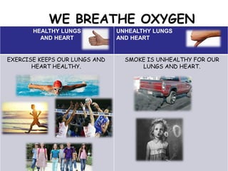 WE BREATHE OXYGEN
HEALTHY LUNGS
AND HEART
UNHEALTHY LUNGS
AND HEART
EXERCISE KEEPS OUR LUNGS AND
HEART HEALTHY.
SMOKE IS UNHEALTHY FOR OUR
LUNGS AND HEART.
 