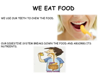 WE EAT FOOD
WE USE OUR TEETH TO CHEW THE FOOD.
OUR DIGESTIVE SYSTEM BREAKS DOWN THE FOOD AND ABSORBS ITS
NUTRIENTS.
 