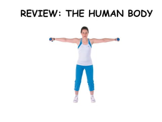 REVIEW: THE HUMAN BODY
 