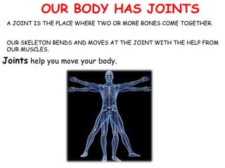 OUR BODY HAS JOINTS
A JOINT IS THE PLACE WHERE TWO OR MORE BONES COME TOGETHER.
Joints help you move your body.
OUR SKELETON BENDS AND MOVES AT THE JOINT WITH THE HELP FROM
OUR MUSCLES.
 