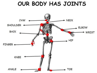 OUR BODY HAS JOINTS
 