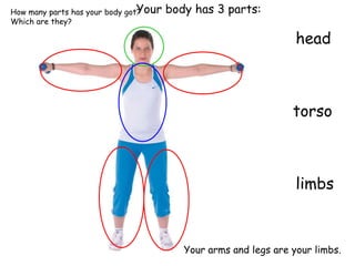 Your body has 3 parts:
head
torso
limbs
Your arms and legs are your limbs.
How many parts has your body got?
Which are they?
 