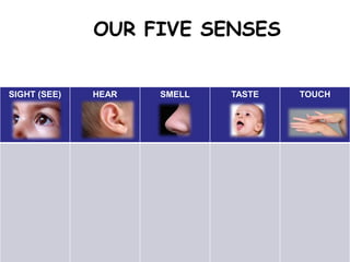 OUR FIVE SENSES
SIGHT (SEE) HEAR SMELL TASTE TOUCH
 