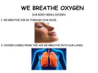 WE BREATHE OXYGEN
OUR BODY NEEDS OXYGEN.
2. OXYGEN COMES FROM THE AIR WE BREATHE INTO OUR LUNGS.
1. WE BREATHE AIR IN THROUGH OUR NOSE.
 