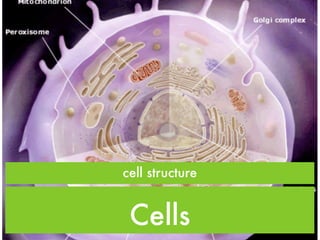 cell structure


 Cells
 