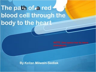 The path of a redblood cell through the body to the heart NOTE: Use space bar to move animations  By Keilan Milwain-Sedlak 