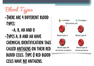 Blood Types Definition Blood | PDF