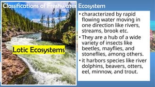 this lesson is a presentation for SCIENCE 304 - AQUATIC ECOSYSTEM.pptx