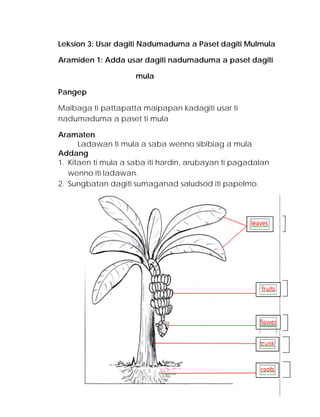 Leksion 3: Usar dagiti Nadumaduma a Paset dagiti Mulmula 
Aramiden 1: Adda usar dagiti nadumaduma a paset dagiti 
mula 
Pangep 
Maibaga ti pattapatta maipapan kadagiti usar ti nadumaduma a paset ti mula 
Aramaten 
Ladawan ti mula a saba wenno sibibiag a mula 
Addang 
1. Kitaen ti mula a saba iti hardin, arubayan ti pagadalan wenno iti ladawan. 
2. Sungbatan dagiti sumaganad saludsod iti papelmo. 
bulong 
ramut 
puon 
sabong 
bunga 
95 
 