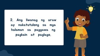 2. Ang liwanag ng araw
ay nakatutulong sa mga
halaman sa paggawa ng
pagkain at paglago.
 