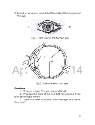 DRAFT
April 10, 2014
51
3. Based on what you read, label the parts of the diagram of
the eye.
Questions
1. Close your eyes. Can you see anything?
2. What are the parts of the eye that you can see if you
look at it using a mirror?
3. Have you ever wondered why two eyes are better
than one?
Fig 2. Parts of the human eye
c.
d.
e.
f.
g.
h.
Fig 1. Front view of the human eye
a. b.
 