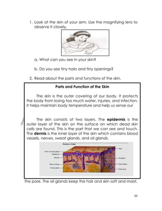 DRAFT
April 10, 2014
63
1. Look at the skin of your arm. Use the magnifying lens to
observe it closely.
a. What can you see in your skin?
b. Do you see tiny hairs and tiny openings?
2. Read about the parts and functions of the skin.
The sweat glands open the surface of the skin through
the pore. The oil glands keep the hair and skin soft and moist.
Parts and Function of the Skin
The skin is the outer covering of our body. It protects
the body from losing too much water, injuries, and infection.
It helps maintain body temperature and help us sense our
The skin consists of two layers. The epidermis is the
outer layer of the skin on the surface on which dead skin
cells are found. This is the part that we can see and touch.
The dermis is the inner layer of the skin which contains blood
vessels, nerves, sweat glands, and oil glands.
 