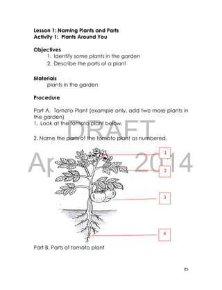 DRAFT
April 10, 2014
85
Lesson 1: Naming Plants and Parts
Activity 1: Plants Around You
Objectives
1. Identify some plants in the garden
2. Describe the parts of a plant
Materials
plants in the garden
Procedure
Part A. Tomato Plant (example only, add two more plants in
the garden)
1. Look at the tomato plant below.
2. Name the parts of the tomato plant as numbered.
Part B. Parts of tomato plant
1
2
3
4
 