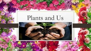 Plants and Us
 