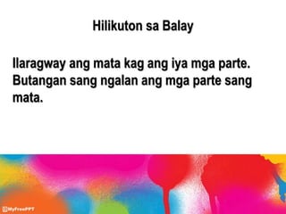 Hilikuton sa Balay
Ilaragway ang mata kag ang iya mga parte.
Butangan sang ngalan ang mga parte sang
mata.