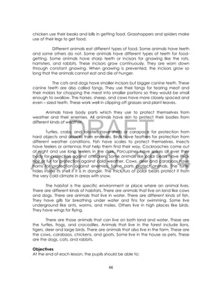DRAFT
April 10, 2014
66
chicken use their beaks and bills in getting food. Grasshoppers and spiders make
use of their legs to get food.
Different animals eat different types of food. Some animals have teeth
and some others do not. Some animals have different types of teeth for food-
getting. Some animals have sharp teeth or incisors for gnawing like the rats,
hamsters, and rabbits. These incisors grow continuously. They are worn down
through constant gnawing. When gnawing is prevented, the incisors grow so
long that the animals cannot eat and die of hunger.
The cats and dogs have smaller incisors but bigger canine teeth. These
canine teeth are also called fangs. They use their fangs for tearing meat and
their molars for chopping the meat into smaller portions so they would be small
enough to swallow. The horses, sheep, and cows have more closely spaced and
even – sized teeth. These work well in clipping off grasses and plant leaves.
Animals have body parts which they use to protect themselves from
weather and their enemies. All animals have skin to protect their bodies from
different kinds of weather.
Turtles, crabs, and lobsters have shells or carapace for protection from
hard objects and attacks from enemies. Birds have feathers for protection from
different weather conditions. Fish have scales to protect themselves. Insects
have feelers or antennas that help them find their way. Cockroaches come out
at night and use long feelers in the dark. Porcupines have spikes all over their
body for protection against attackers. Some animals like polar bears have thick
hair or fur for protection against cold weather. Cows, deer and carabaos have
horns for protection against enemies. Some parts protect animals. The turtle
hides inside its shell if it is in danger. The thick furs of polar bears protect it from
the very cold climate in areas with snow.
The habitat is the specific environment or place where an animal lives.
There are different kinds of habitats. There are animals that live on land like cows
and dogs. There are animals that live in water. There are different kinds of fish.
They have gills for breathing under water and fins for swimming. Some live
underground like ants, worms, and moles. Others live in high places like birds.
They have wings for flying.
There are those animals that can live on both land and water. These are
the turtles, frogs, and crocodiles. Animals that live in the forest include lions,
tigers, deer and large birds. There are animals that also live in the farm. These are
the cows, carabaos, chickens, and goats. Some live in the house as pets. These
are the dogs, cats, and rabbits.
Objectives
At the end of each lesson, the pupils should be able to:
 