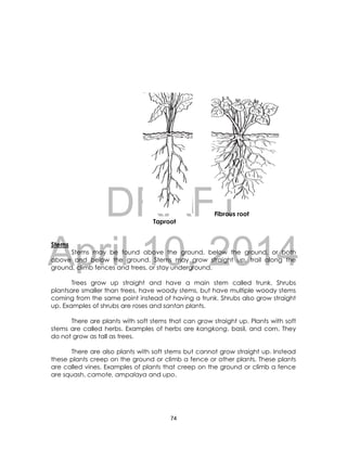 DRAFT
April 10, 2014
74
Taproot
Fibrous root
Taproot
Stems
Stems may be found above the ground, below the ground, or both
above and below the ground. Stems may grow straight up, trail along the
ground, climb fences and trees, or stay underground.
Trees grow up straight and have a main stem called trunk. Shrubs
plantsare smaller than trees, have woody stems, but have multiple woody stems
coming from the same point instead of having a trunk. Shrubs also grow straight
up. Examples of shrubs are roses and santan plants.
There are plants with soft stems that can grow straight up. Plants with soft
stems are called herbs. Examples of herbs are kangkong, basil, and corn. They
do not grow as tall as trees.
There are also plants with soft stems but cannot grow straight up. Instead
these plants creep on the ground or climb a fence or other plants. These plants
are called vines. Examples of plants that creep on the ground or climb a fence
are squash, camote, ampalaya and upo.
 