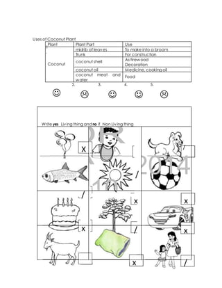Plant Plant Part Use 
FT / 
2014 
x / 
Uses of Coconut Plant 
 
 
 
 
 
1 
. 
2. 3. 4. 5. 
Write yes Liv ing thing and no if Non Liv ing thing 
DR 
A 
X 
10, 
/ 
/ 
x 
x 
x / x 
Coconut 
midrib of leaves To make into a broom 
Trunk For construction 
coconut shell 
As firewood 
Decoration 
coconut oil Medicine, cooking oil 
coconut meat and 
Food 
water 
 