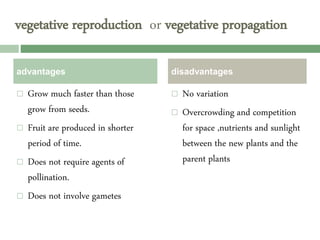 vegetative reproduction or vegetative propagation
 Grow much faster than those
grow from seeds.
 Fruit are produced in shorter
period of time.
 Does not require agents of
pollination.
 Does not involve gametes
 No variation
 Overcrowding and competition
for space ,nutrients and sunlight
between the new plants and the
parent plants
advantages disadvantages
 