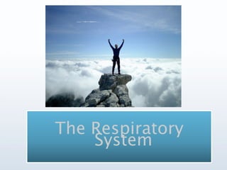 The	
  Respiratory	
  System	
  
 