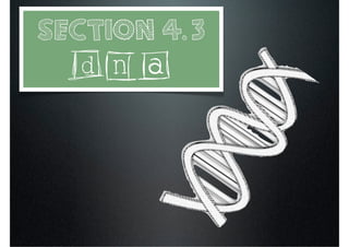 Section 4.3
  DNA
 