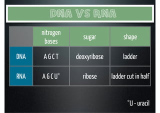 DNA (4.3) | PDF