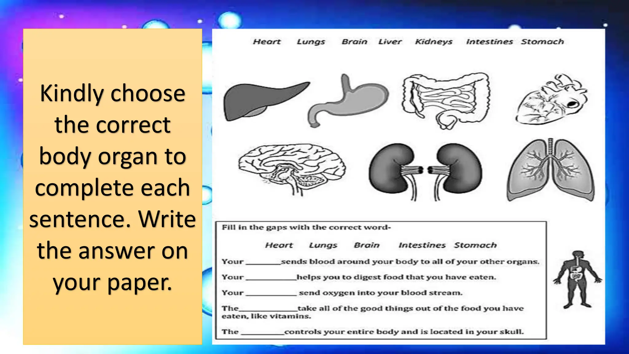 SCIENCE 4- HOW DO BODY ORGANS WORK TOGETHER - QUARTER 2 - WEEK 2.pptx