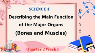 Describing the Main Function
of the Major Organs
(Bones and Muscles)
Quarter 2 Week 1
SCIENCE 4 D
A
Y
2
 
