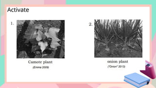 SCIENCE4-Q2-W3-PPT File not mine for educ | PPTX