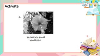 SCIENCE4-Q2-W3-PPT File not mine for educ | PPTX