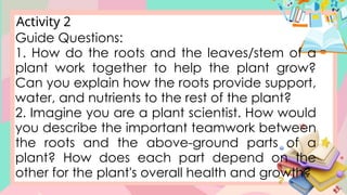 The Roots Bio Questions SCIENCE4-Q2-W3-PPT File not mine for educ | PPTX