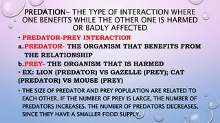 SCIENCE 4 PPT Q3 - Lesson 37-43 Life Cycle of Animals - Egg Laying ...