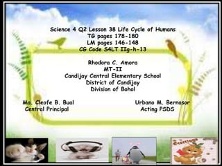 Science 4 Q2 Lesson 38 Life Cycle of Humans
TG pages 178-180
LM pages 146-148
CG Code S4LT IIg-h-13
Rhodora C. Amora
MT-II
Candijay Central Elementary School
District of Candijay
Division of Bohol
Ma. Cleofe B. Bual Urbano M. Bernasor
Central Principal Acting PSDS
 